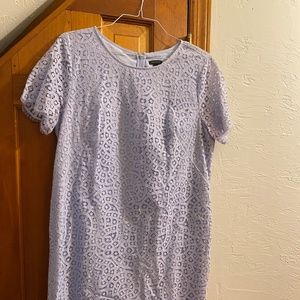 Ann Taylor Lace Dress